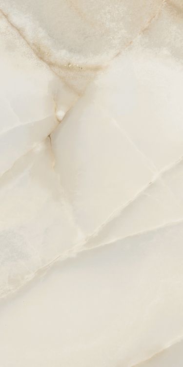 Reves Perle Matte 12 x 24